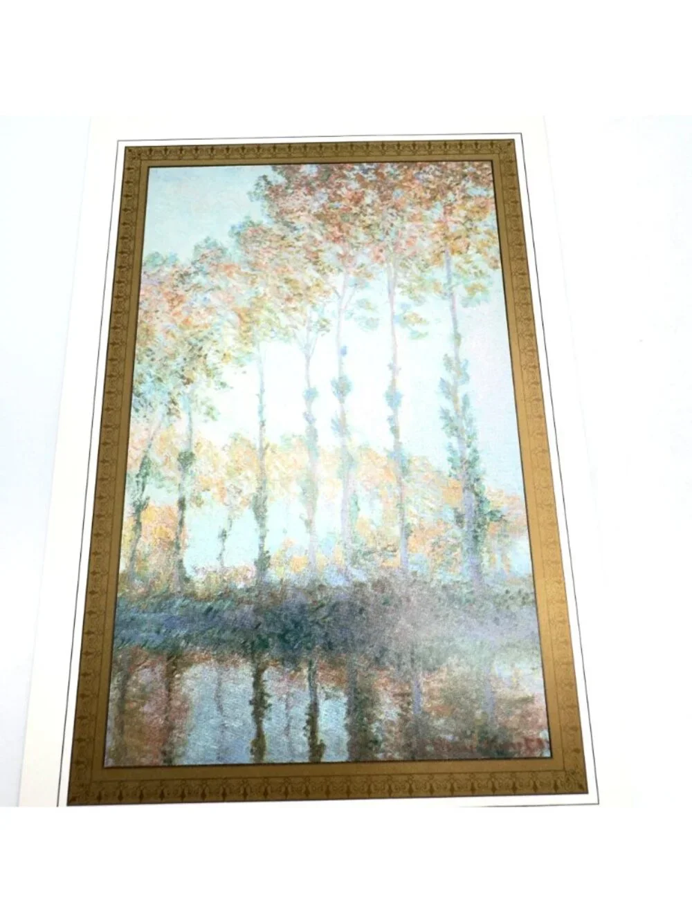 Monet beautiful set